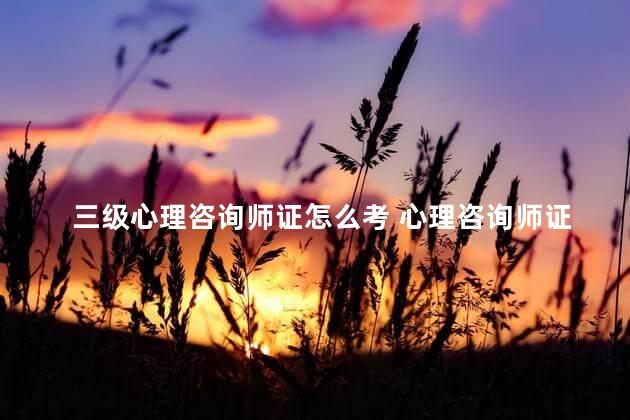 三级心理咨询师证怎么考 心理咨询师证书三级